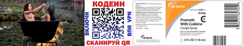 Купить закладки  Камешково  Codein напиток Lean (лин) 