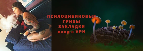 apvp Зеленокумск